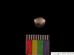 L_V22d6529 A16q828.2 Tx06 dM sh f313